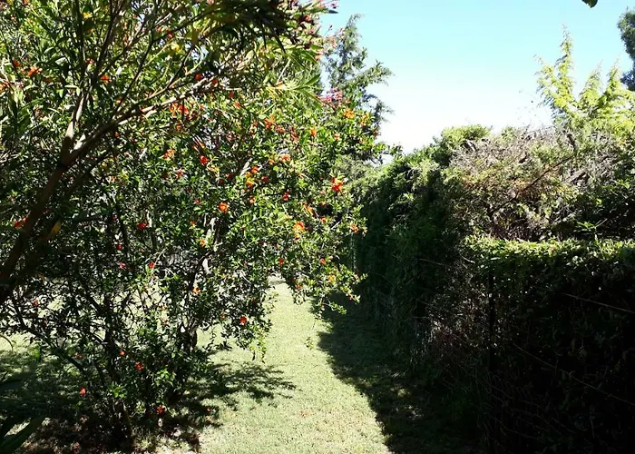 Gite Du Riage * Saint-Christol-les-Ales